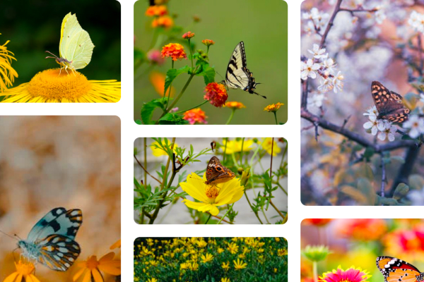 How it works: step 1, uploading reference image