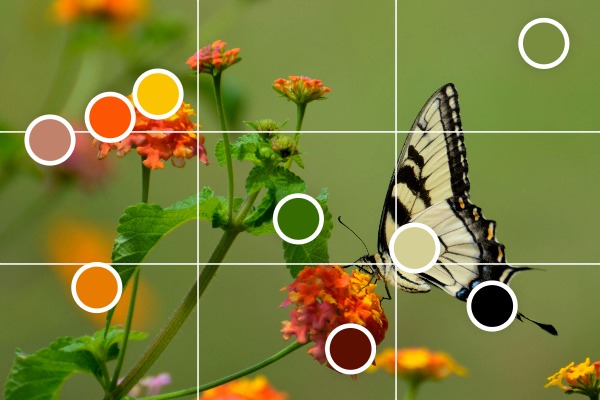 How it works: step 2, extracting sample colors, applying grid and frame